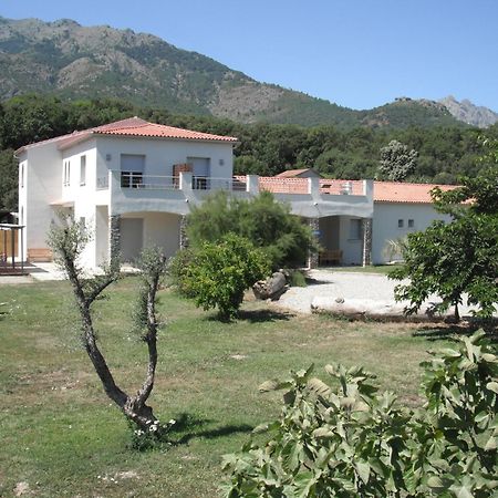 L'Attrachju Bed and Breakfast Corte  Exterior foto
